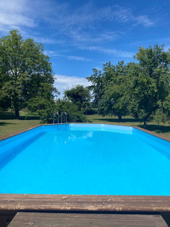 Magnifique Villa Piscine Dans Un Ecrin De Verdure Eckbolsheim Exterior foto